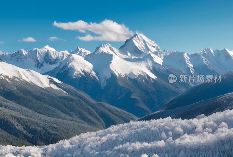 雪山高原草原森林风景