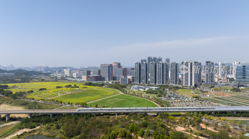 城市中田野与高铁高架桥的全景风光