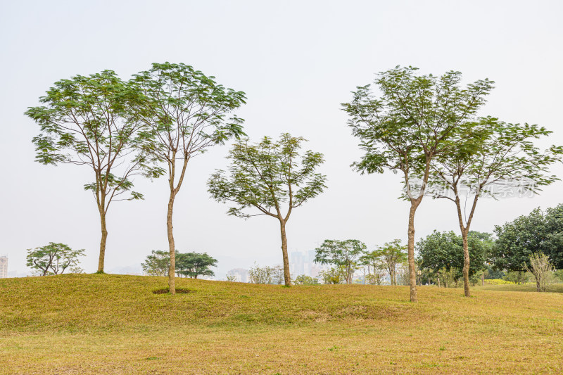 深圳市石岩湿地公园