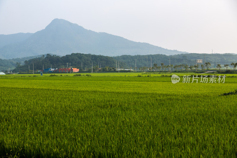 韩国南原乡村农田