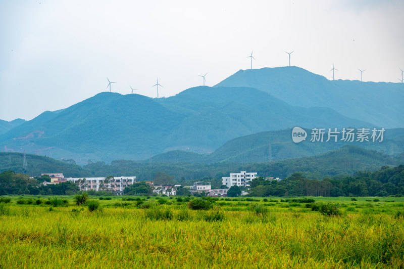 高山田野景观