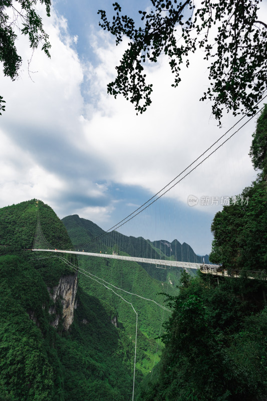 中国四川宣汉桃溪谷景区玻璃栈道吊桥