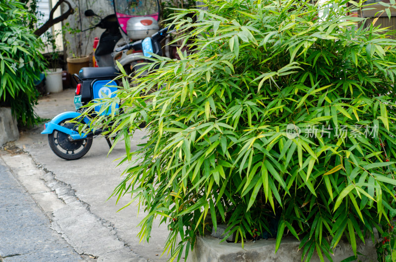 河南洛阳名十字街街景