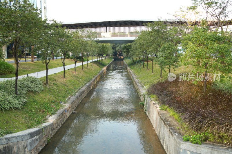 有绿植和天桥的城市河道景观