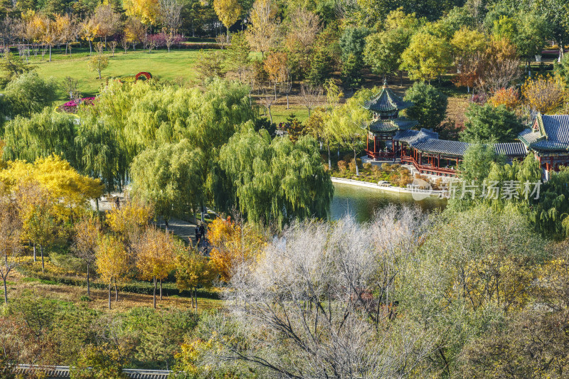 山西太原市双塔公园秋天的景色