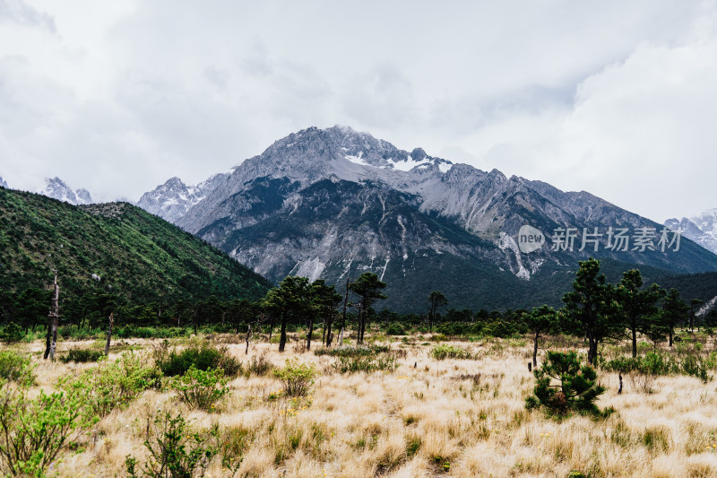 丽江玉龙雪山干河坝