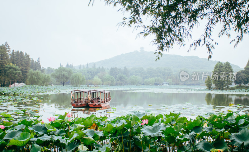 无锡市鼋头渚景区，水景苑的荷花塘与摇橹船