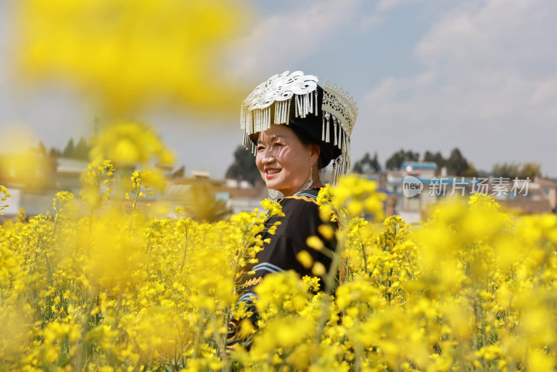 油菜花绘就田园美景