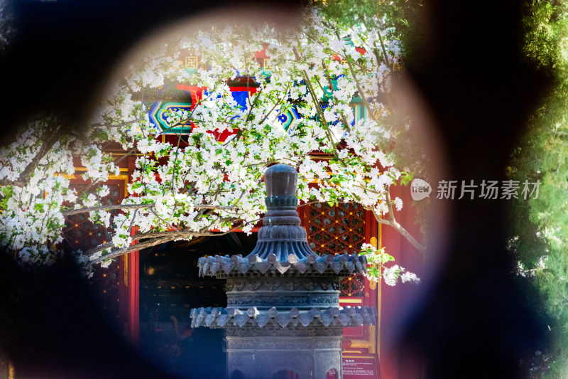 北京北海从正觉殿的窗棂看永安殿