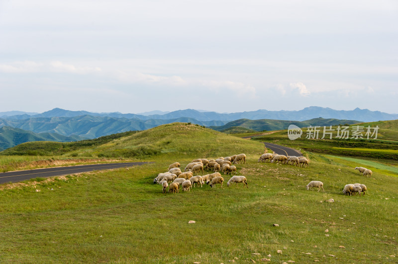 张北草原风光