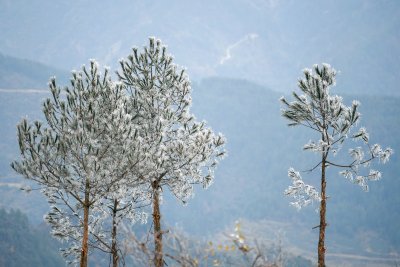 重庆酉阳：龙头山上的第一场雪