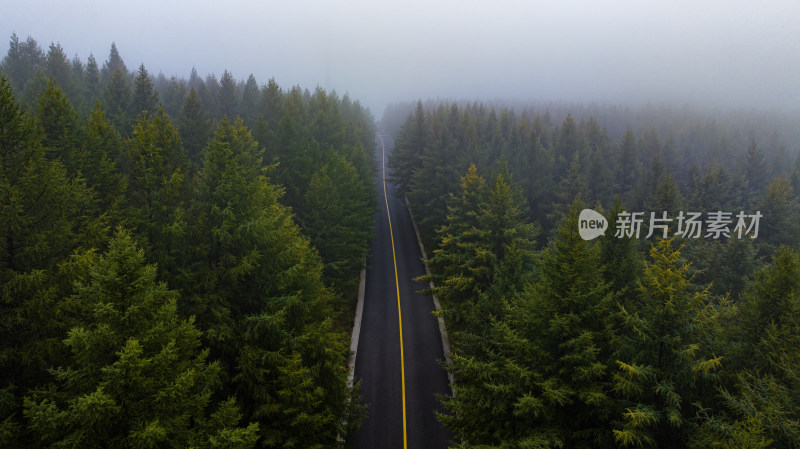 雾中林间公路航拍全景