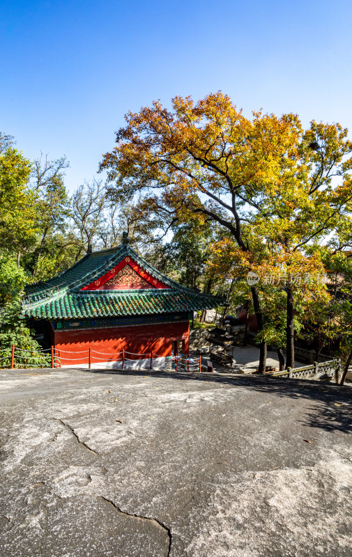 秋日中式古建筑与树林景致