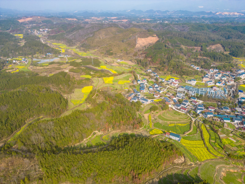 山川农田油菜花美丽乡村航拍摄影图