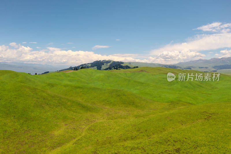 中国新疆伊犁那拉提草原自然风景