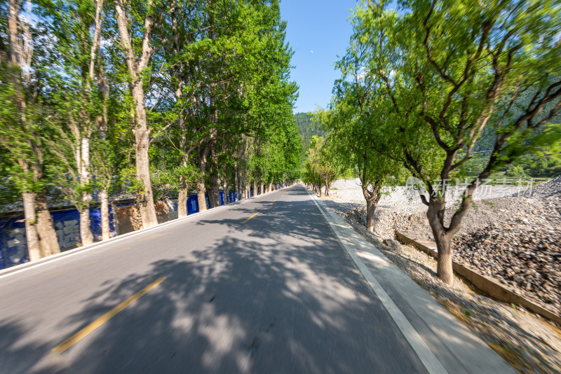 树林里的公路