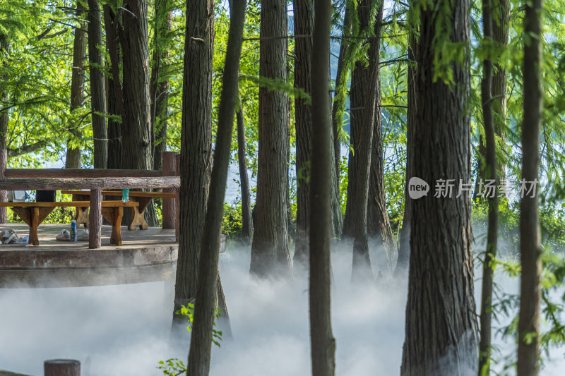 武汉东湖落雁峰景区风景