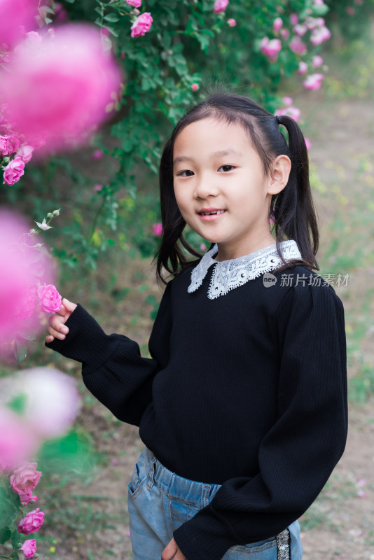 初夏亚裔女孩在盛开的蔷薇花丛中玩耍