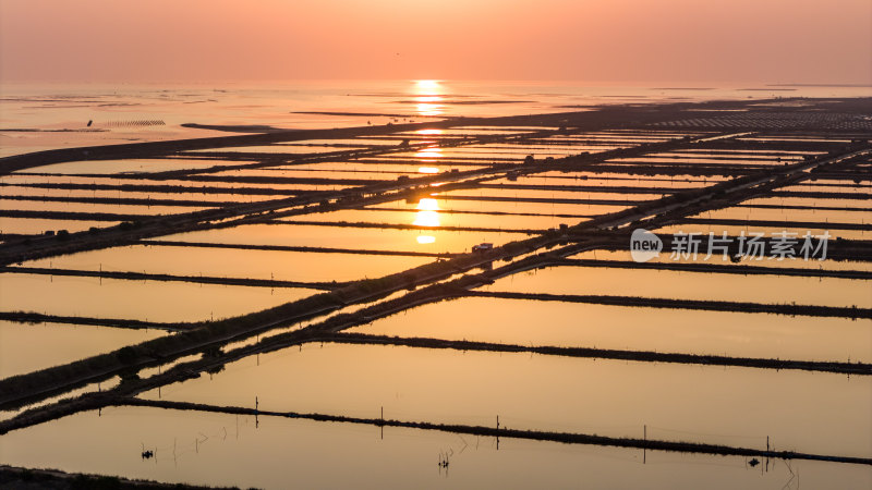 水产养殖：廉江市龙营围万亩虾田