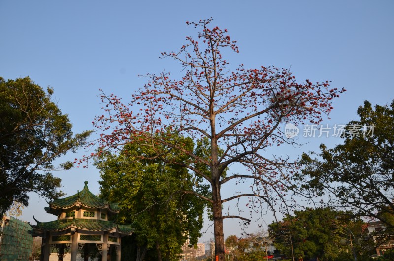 广东惠州：西湖景区