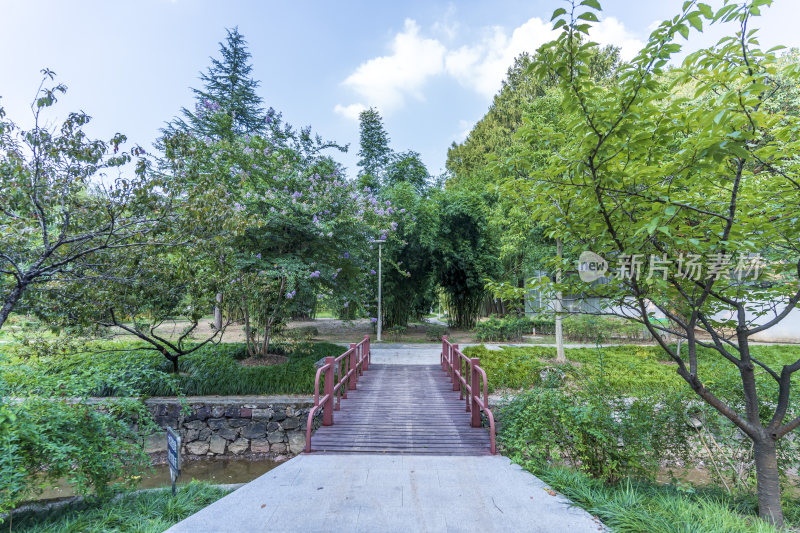 武汉青山区和平公园风景