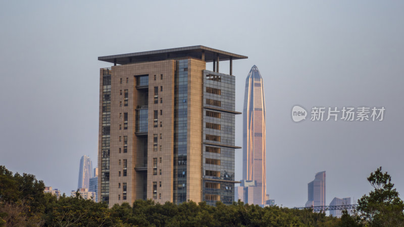 深圳城市建筑地标高楼大厦