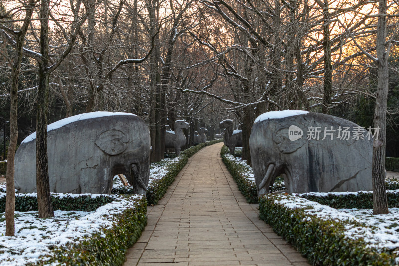 南京明孝陵石象路神道雪景