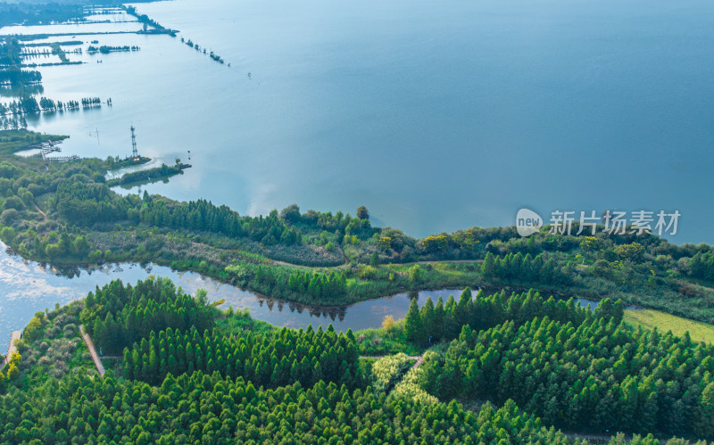 盛夏时节的晋宁南滇池国家湿地公园