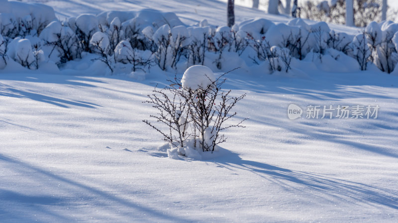 冬天雪后风景