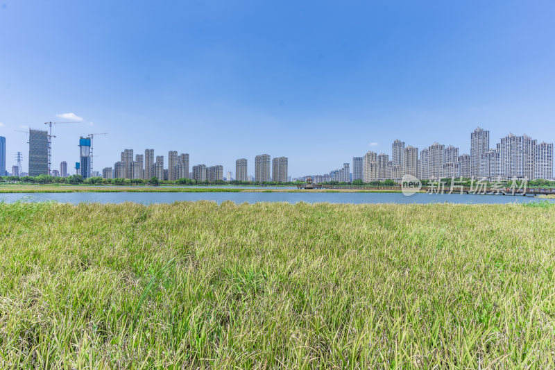 武汉洪山区杨春湖公园风景