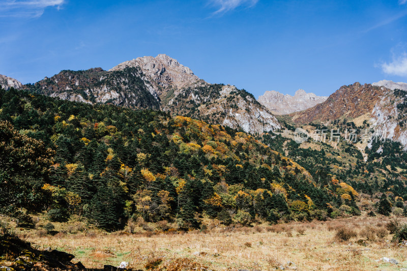 丽江玉龙雪山蚂蝗坝