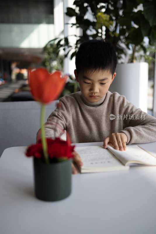正在看书的中国小男孩