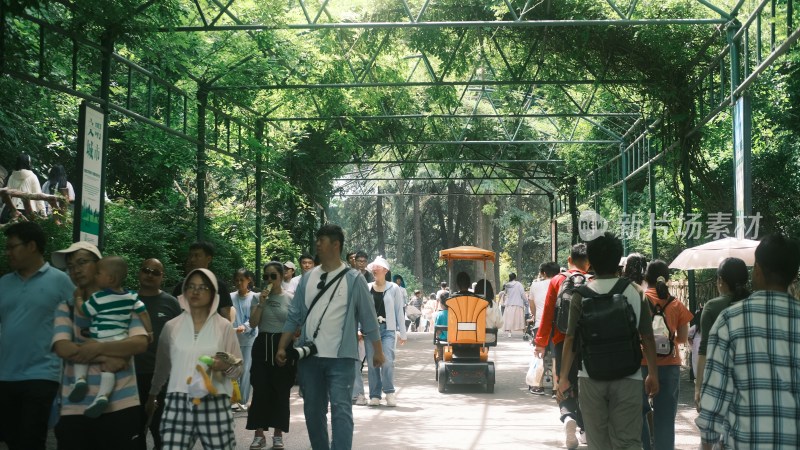 南京红山动物园景区内部人潮节假日期