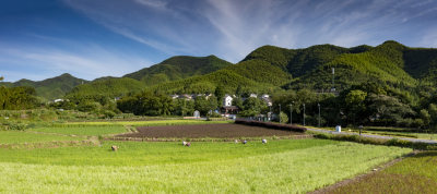 绿水青山发源地湖州安吉余村