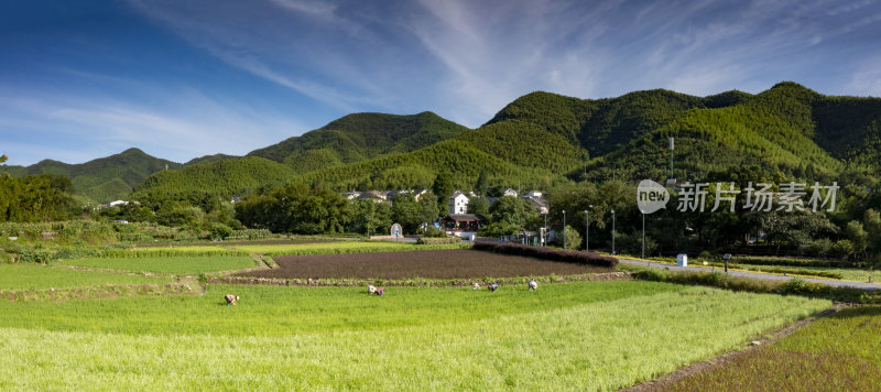 绿水青山发源地湖州安吉余村