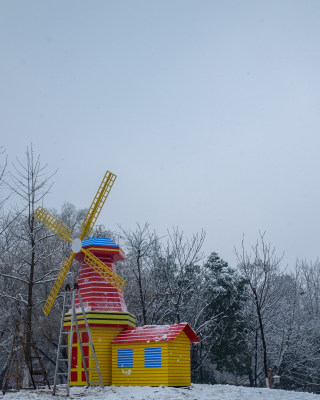 雪中树林小路 冬日唯美自然景观