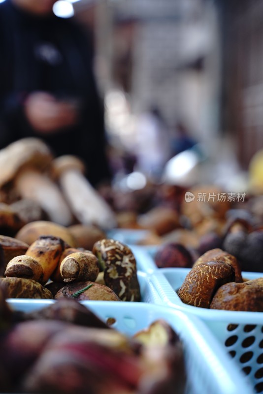 市场摊位上摆满各类新鲜野生菌