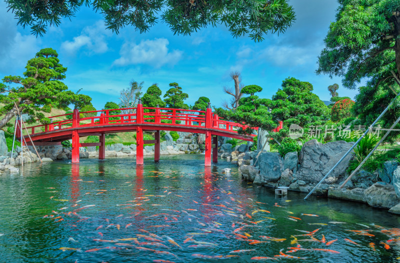 越南芽庄珍珠岛花园红桥流水自然风光