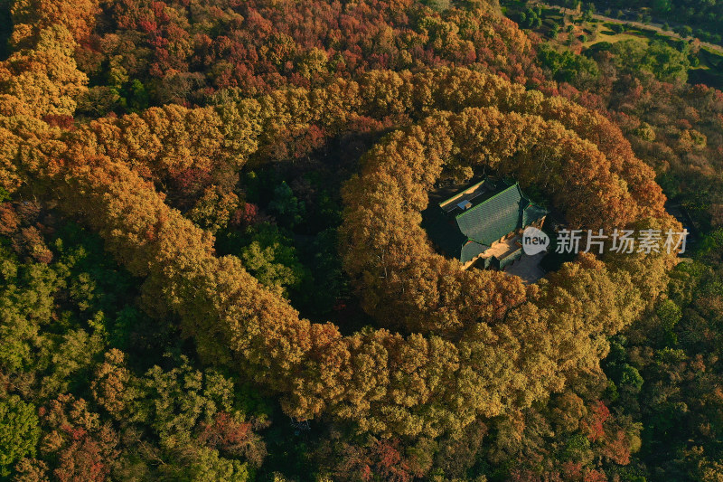 南京钟山风景区美龄宫秋色