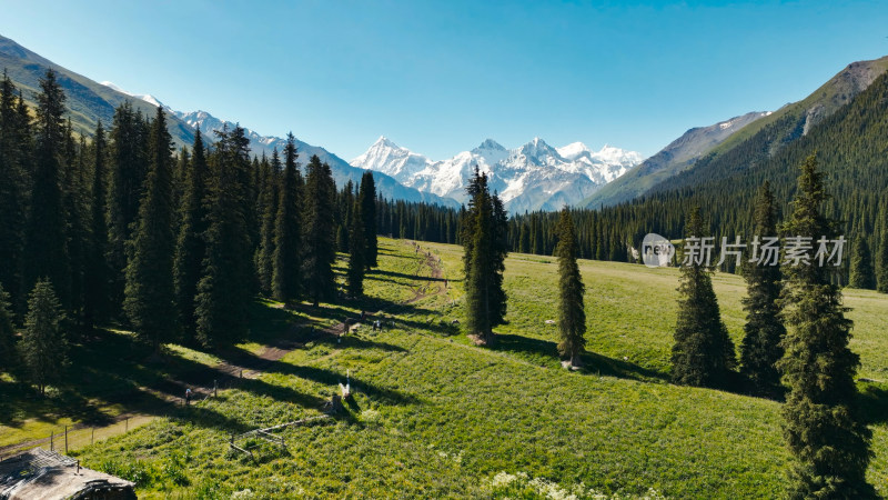 航拍雪山森林河流风景