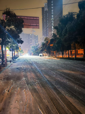 夜晚积雪道路及路旁树木的城市景象