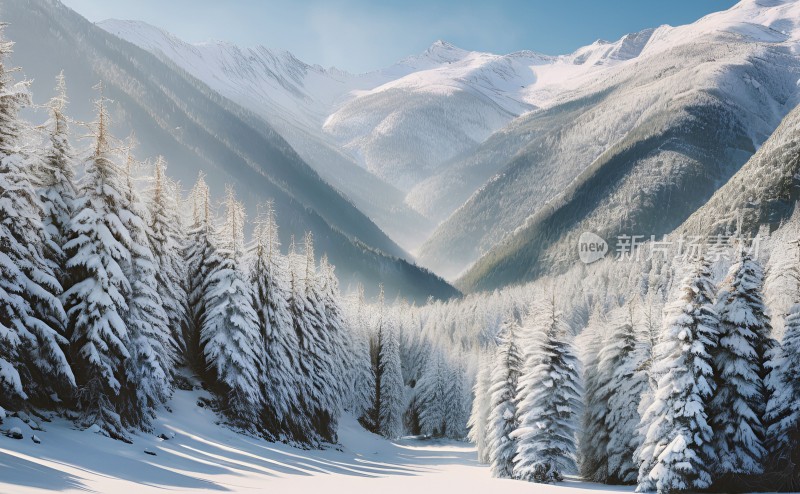 冬季森林白雪覆盖风景