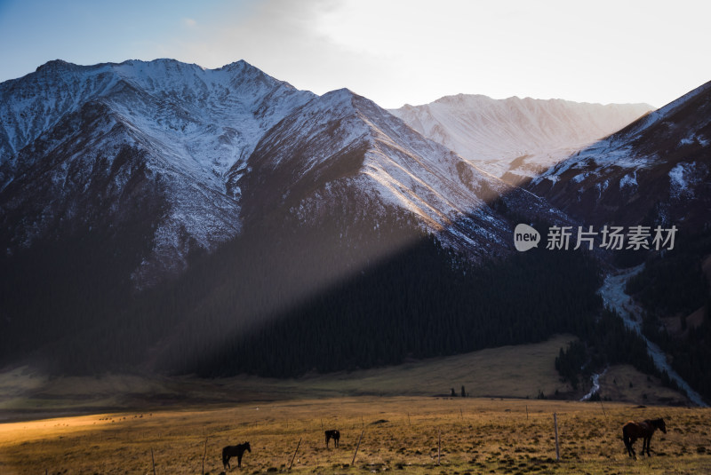 新疆夏塔牧场日落时分阳光下的雪山与草原