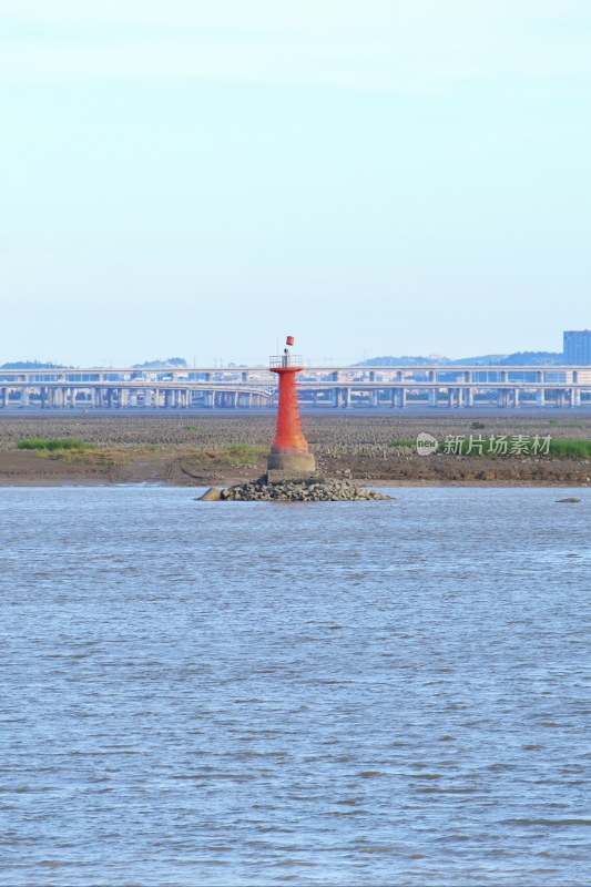 泉州海滨公园 大海与马鞭草