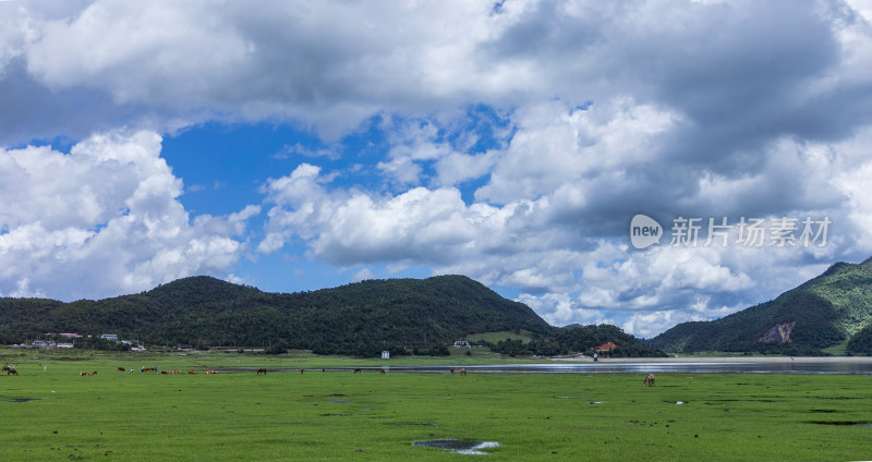 文海丽江风景