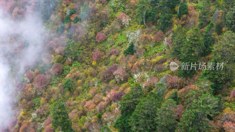 阿坝州黄龙风景名胜区秋色