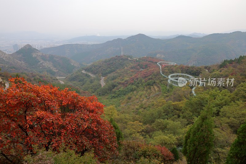 红叶柿岩景区风光