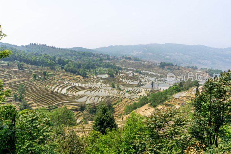 层层叠叠的元阳梯田景观