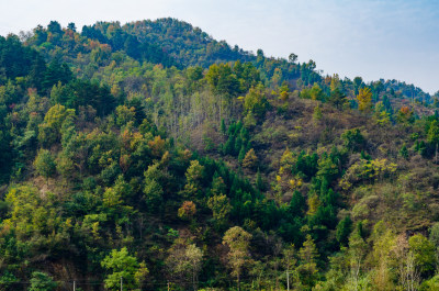 河南洛阳白云山，秋天风景