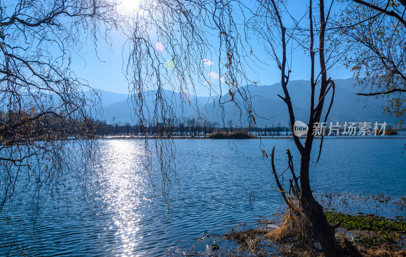 云南大理洱海湖畔树林秋景自然风光